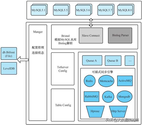 秃头也要学习的微服务进阶场景实战 基于Bifrost的数据同步方案与数据处理服务